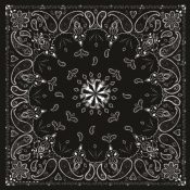 ZANheadhear Cotton Bandanna - Black Paisley